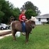 Awsome pony mare and filly ( KID SAFE)