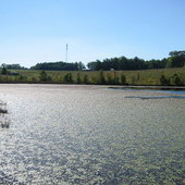 29.78 Acres, Large Pond, Open Fields