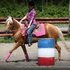 All Around Mare