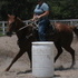 Cutting Bred Ranch Gelding