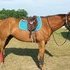 Very nice TB! Priced reduced for quick sell!!