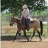 Athletic and beautiful smokey buckskin APHA filly smooth ride