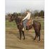 Serious performance / barrel horse prospect