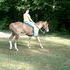 NEED SOLD BY NEXT WEEK! have a look please