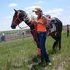Awsome horse can do it all!!