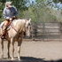 All Around Ranch Work
