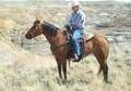 Nice ranch/ trail mare.