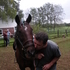 Bombproof! adn adorable!
