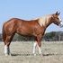 Distinctive Granddaughter!