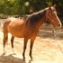 Big Beautiful Forward Mover