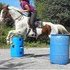 STRAIT FROM TEXAS  *call (863) 990-4388