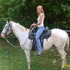 black few spot gelding