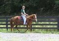 www.peruvianhorsesoflvf.com