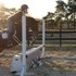 Great Small Pony - Ready for Spring Shows