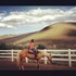 Flashy Performance Mare