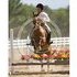 Eventer