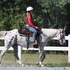 Pretty ApHC/CRHA Leopard Mare