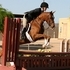 Flashy Pony Jumper