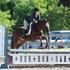 hunter jumper pony