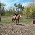 REG APHA PAINT MARE