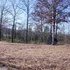 Ozarks! 5 ac ranchette ready to build