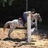 easy & safe lg pony