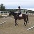 Sunset Valley Stables Facility Use