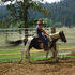 smooth riding mare