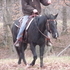 Very Athletic Black Mare!!