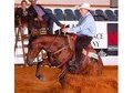 Winning Reining Mare