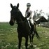 Big Thoroughbred Jumper