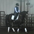 Elegant Westphalian cross mare, does it all!