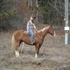 Big Gelding ! Nice Ride 