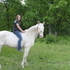10 yr.old Cremello Maremay trade