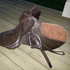 Silver Fox 17 inch saddle