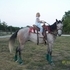 Gray Dapple, 5 yrs old