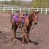 <SWEET> Appy pony