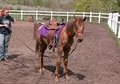 <SWEET> Appy pony