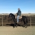 2010 mecom blue grandson