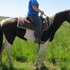 Flashy smooth neck reins