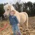 Broke to ride, Sweethert