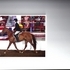 Striking Sorrel Mustang Mare