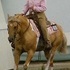 APHA Breeders Trust nominated stallion at stud.