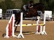 Potential High level jumper