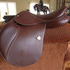 New Bates Elevation Next Generation Jump Saddle 17