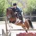 13.1hh Flashy Paint Pony 