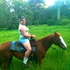 Beautiful QH Mare