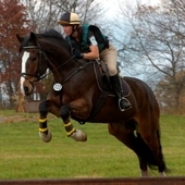 Training Level Eventer - super fun!