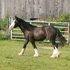 Make Hero your next Champion!