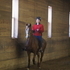 Registered Half Arab Mare